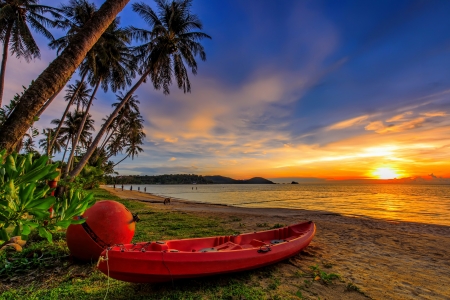 Sea sunset - palms, summer, beach, beautiful, sea, tropics, sunset, exotic, paradise, sands, sky, canoe