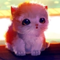 Cute Kitten