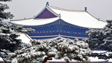 Palace of Prospering Virtue - virtue, trees, winter, tradition, landmark, south korea, snow, seoul, palace