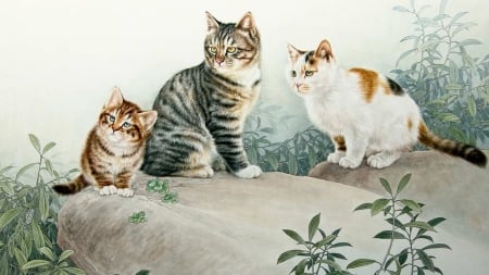 Three Cinese Cats - Firefox theme, rock, leaves, flowers, felines, kittens, painting, cats, foliage