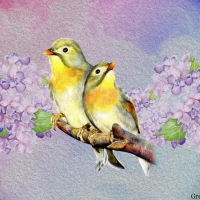 BIRDS ON LILACS