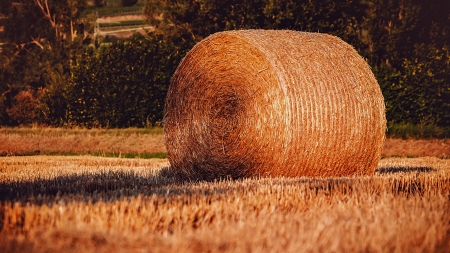 Round Hay Bale