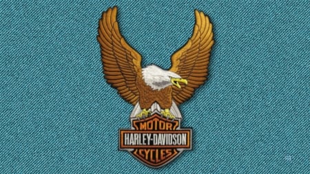 Harley Davidson Eage patch-3