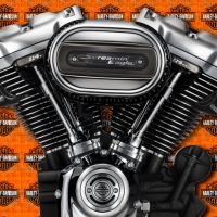 Harley Davidson Screaming Eage engine