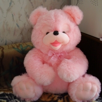 PRETTY PINK TEDDY