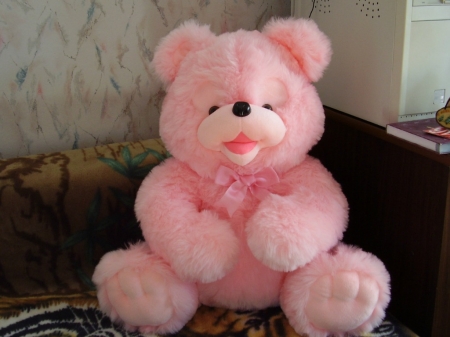 PRETTY PINK TEDDY - PINK, BEAR, PRETTY, TEDDY