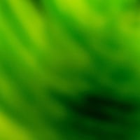 Green Abstract