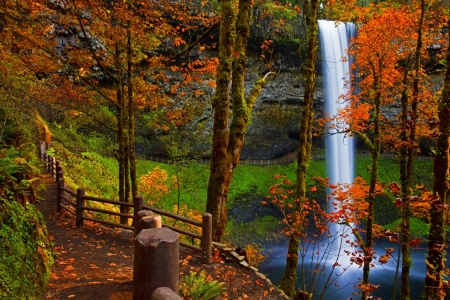 Autumn waterfall - forest, path, leaves, trees, mountain