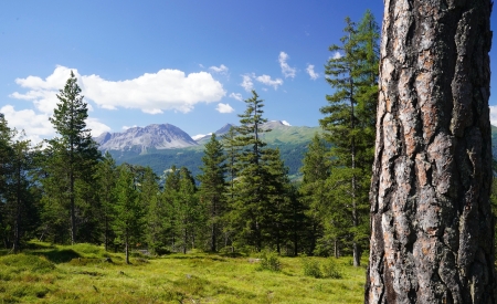 Outdoor - colorful, nature, beautiful, fields, landscape, outdoor, forest, mountain