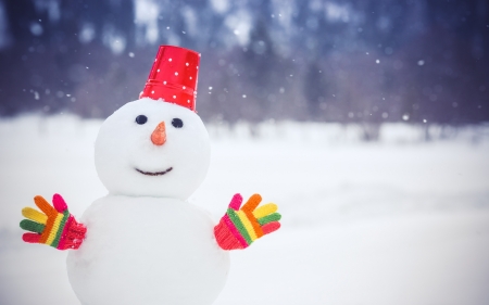 Snowman - hat, snowman, winter, glove, christmas, white, craciun, red, iarna