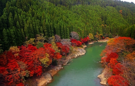 Autumn River - forest, japan, river, trees, autumn