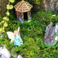 Fairy House On Moss