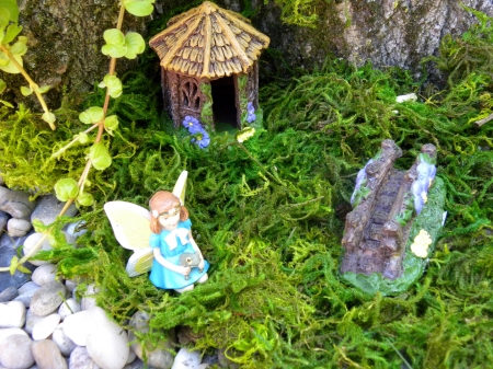 Fairy House On Moss