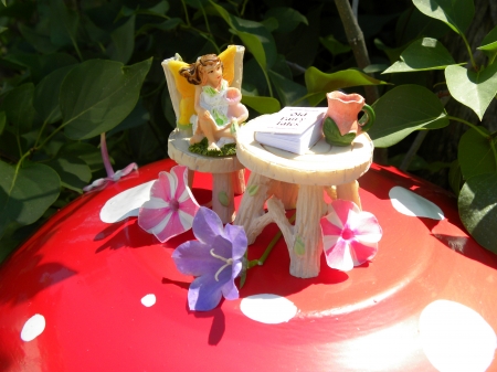 Tea On A Mushroom - mushroom, photography, tea, fairies, summer, flowers, fantasy