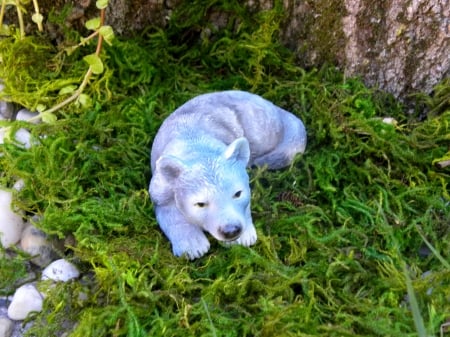 Lone Wolf - wolf, abstract, photography, summer, moss