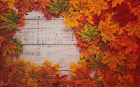 :-) - autumn, leaf, wood, maple, red, card, orange, green, toamna