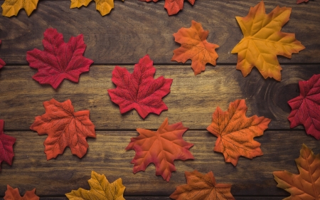 :-) - skin, autumn, leaf, wood, maple, red, card, toamna, texture