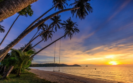 Sunset - beach, sky, vara, palm tree, water, sunset, summer, yellow, blue, swing, sea