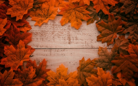 :-) - wood, maple, orange, toamna, autumn, red, card, leaf, texture