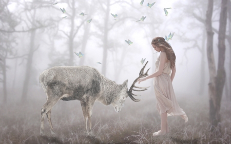 :-) - cerb, fantasy, white, deer, girl, forest, luminos, horns