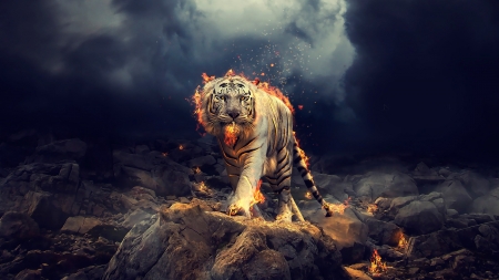 :-) - fantasy, animal, fire, tigru, tiger