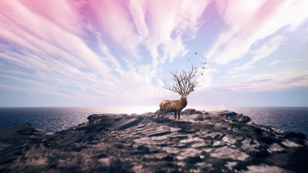 :-) - sky, fantasy, pink, deer, blue, horns