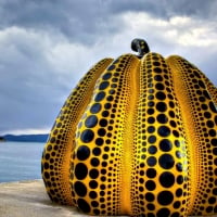 Yellow Pumpkin