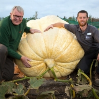 Largest Pumpkin In  Essex UK