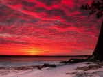 Red Sunset on a Beach