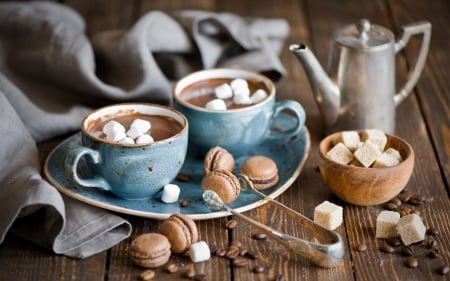 Hot Chocolate And Cookies - sweet, chocolate, hot, cookies