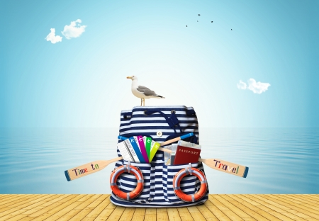 :-) - bird, pasari, summer, funny, seagull, suitcase, vara