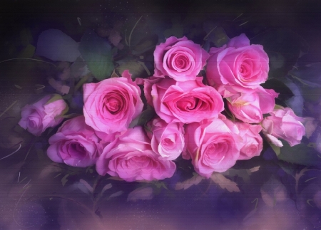 vintage pink roses - roses, abstract, vintage, pink, still life