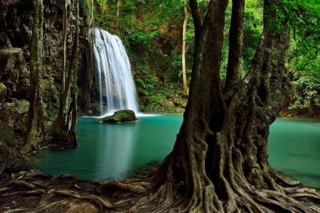 Forest waterfall - trees, waterfall, pond, beautiul, forest