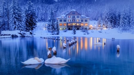 Winter Lake - swans, lake, italy, snow, winter, house