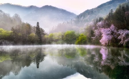 Cool Place - mountains, lake, tree, amazing