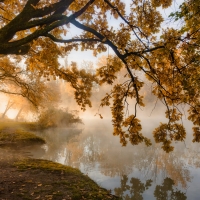 On the banks of the river