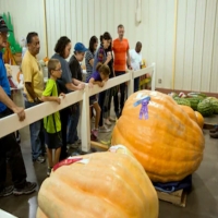 Hutchinson Kansas USA Largest Pumpkins