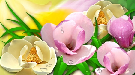 Flowers - flower, pink, spring, yellow, luminos, magnolia, green