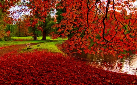 Romantic autumn - nature, lake, trees, fall leaves, garden, lakeside