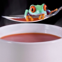 FROG AND SPOON