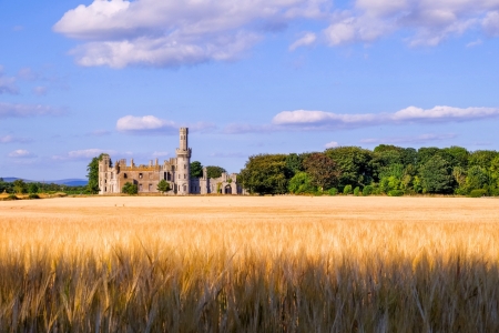 Duckett's Grove, Carlow, Ireland - medieval, ireland, castle, barley