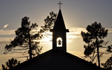 Church Bell Tower - trees, tower, sunshine, church, bell