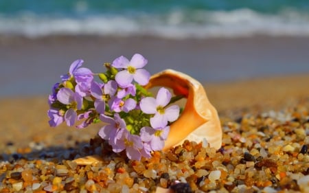 Sea shell - beach, summer, shell, stones, flowers, sea, waves