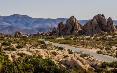 Road in Desert - hills, desert, America, National Park, road, rocks