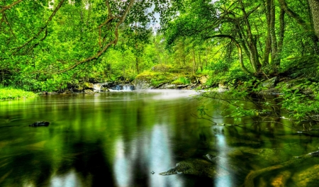 Lake - lake, water, nature, tree