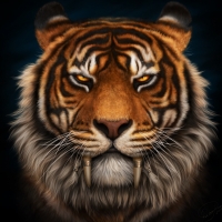 Sabertooth tiger