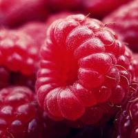 Raspberries