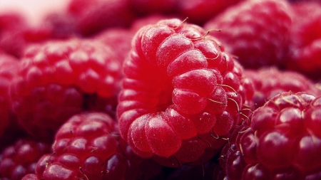 Raspberries - berry, zmeura, raspberry, fruit, texture, skin