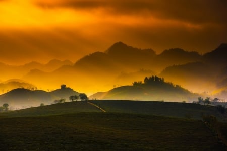 Golden Sunset - nature, sunsets, fog, orange, golden, mountains, haze, mist