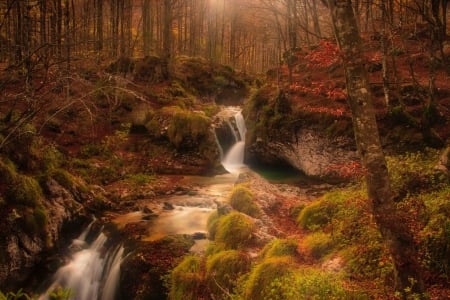 Beautiful Stream in Autumn Forest - Streams, Trees, Autumn, Nature, Fall, Rocks, Forests